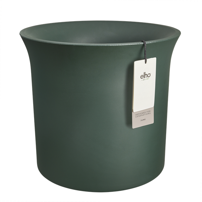 june tulip 47cm emerald green